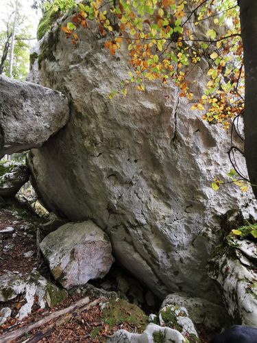 Zagozden balvan 2